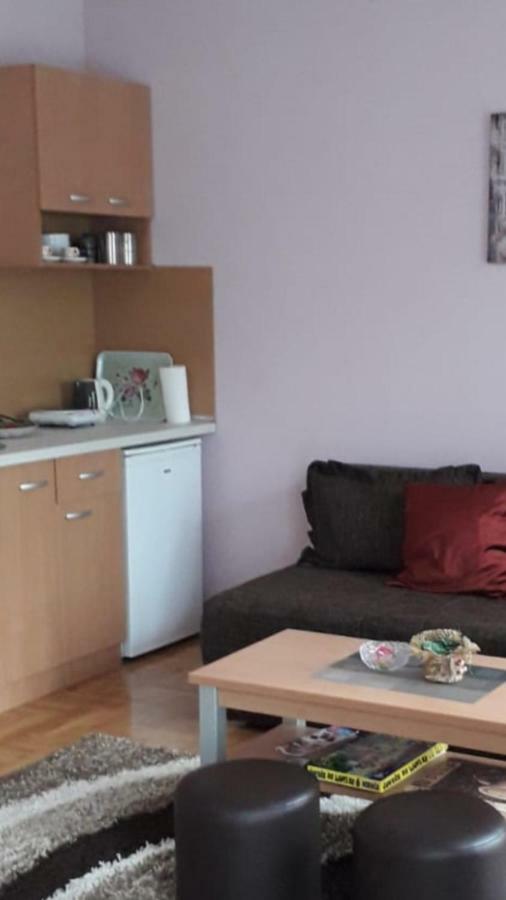 Apartmani V&F Vrnjačka Banja Exterior foto