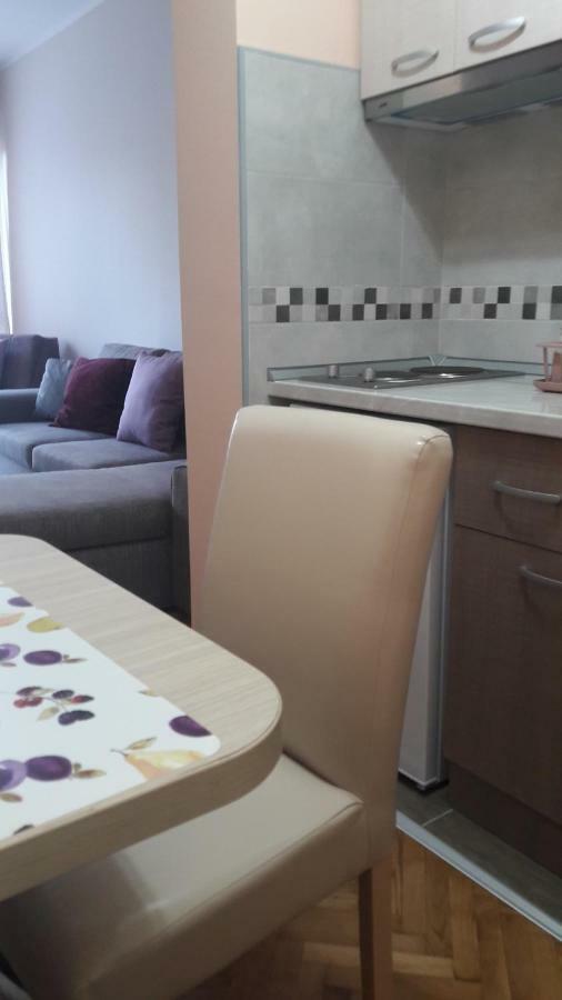 Apartmani V&F Vrnjačka Banja Exterior foto